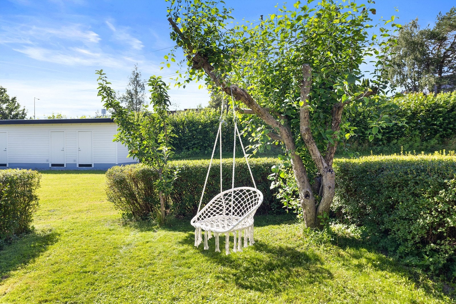 I hagen har du blant annet med et sjarmerende epletre som gir både blomsterprakt om våren og friske epler på sensommeren. Galleribilde