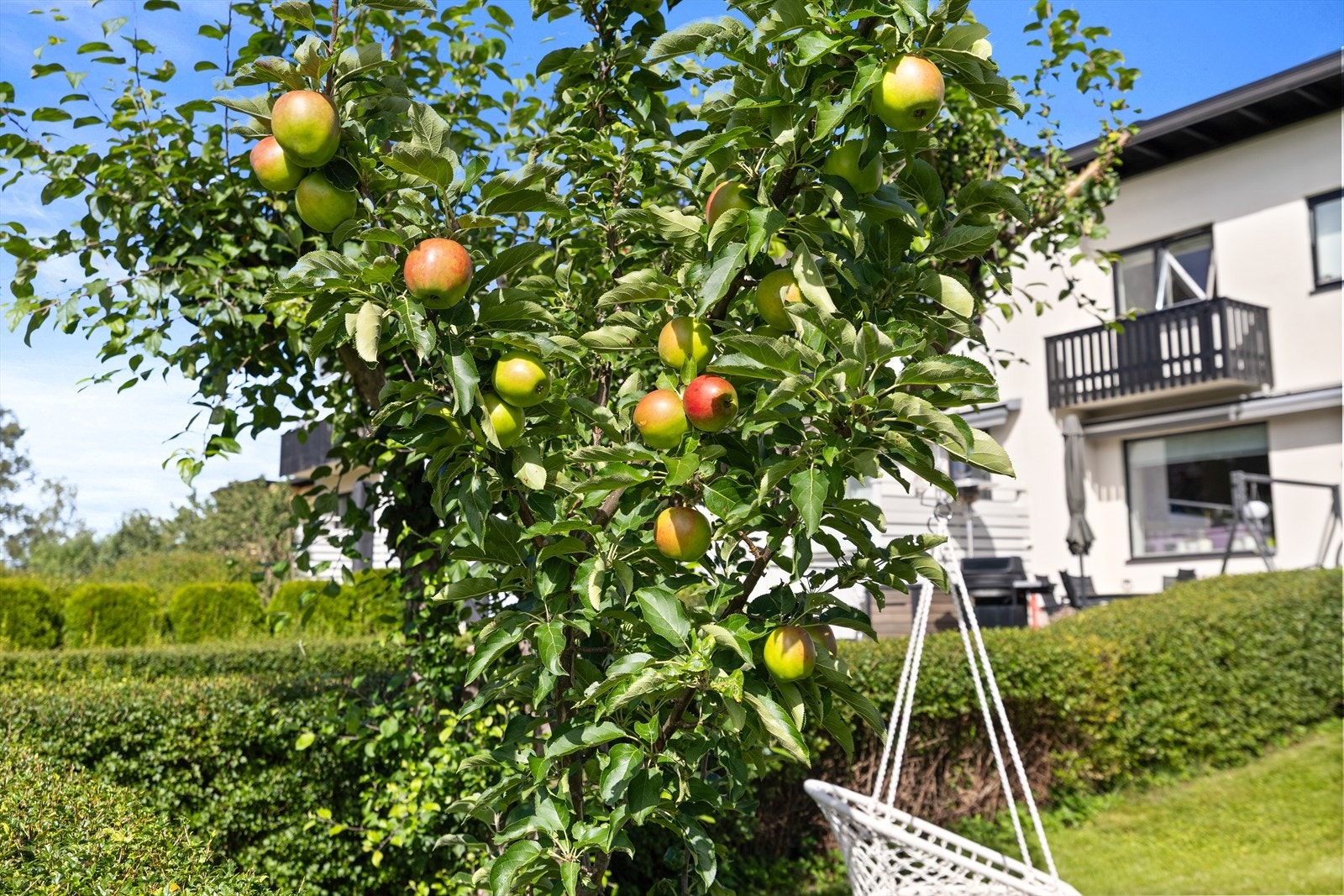 Hagen er som skapt for barnefamilier - her kan du enkelt etablere et trygt og innbydende lekeområde med trampoline, sandkasse og huske, eller skape din egen grønne oase med blomsterbed og kjøkkenhage. Galleribilde