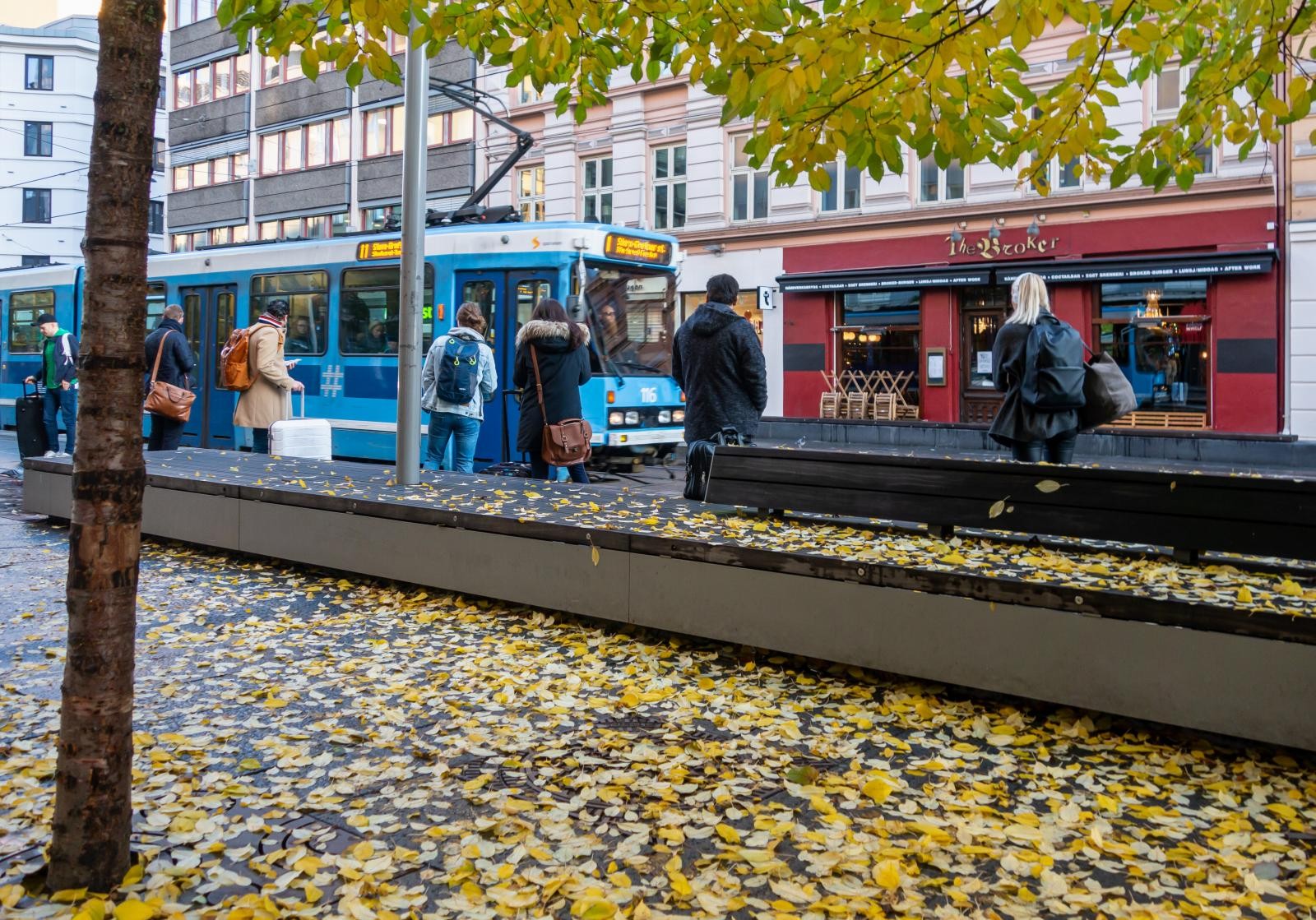 Nærområdet Galleribilde