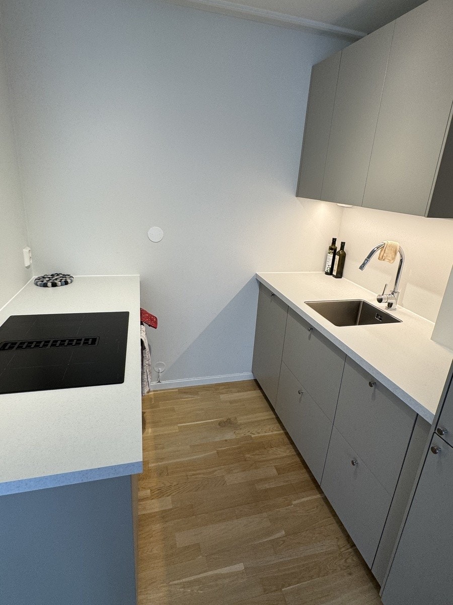 Indusjonsovn med kullfilter Galleribilde