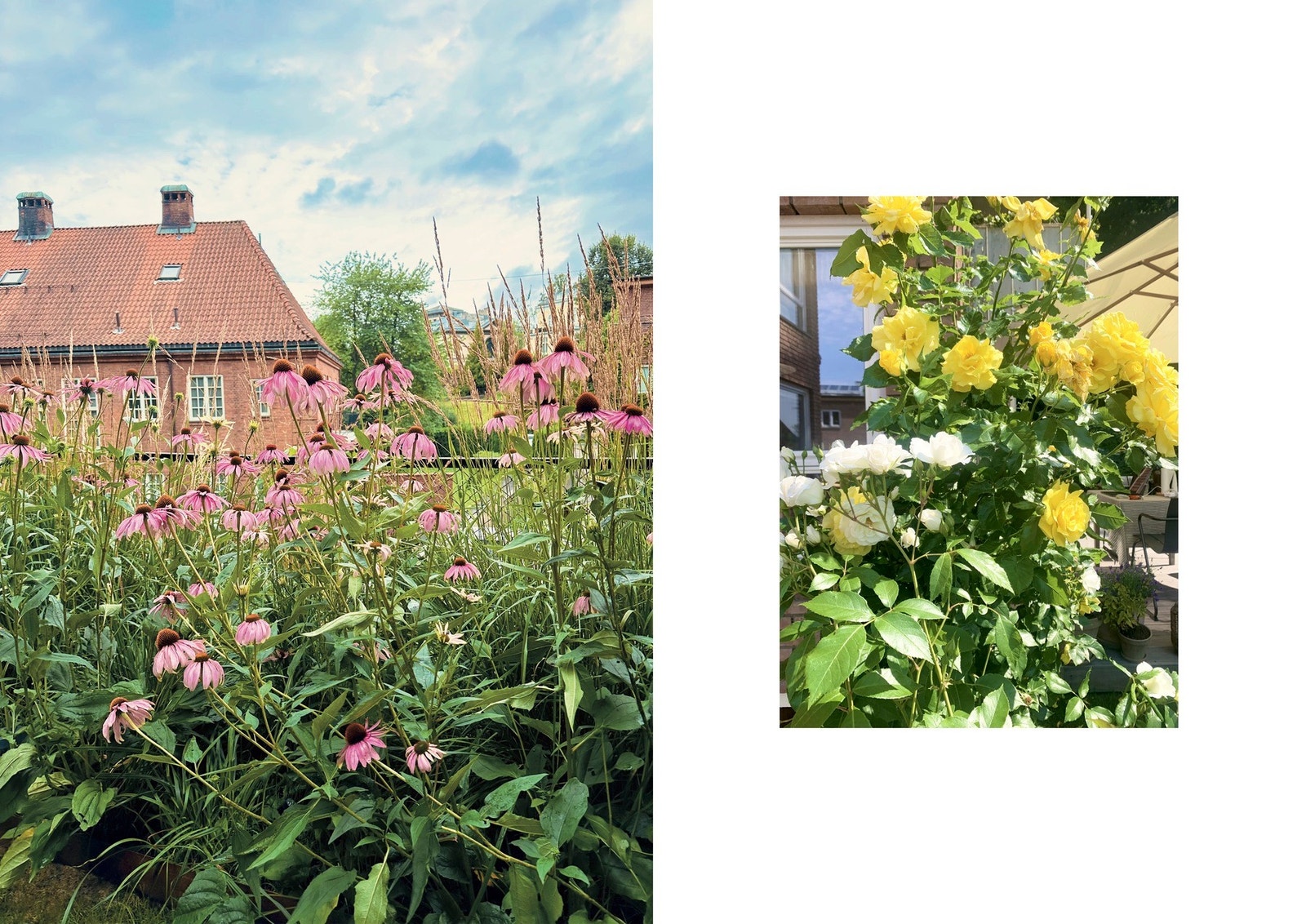 Grønt, rolig og idyllisk, likevel med alle byens tilbud rett i nærheten. Galleribilde