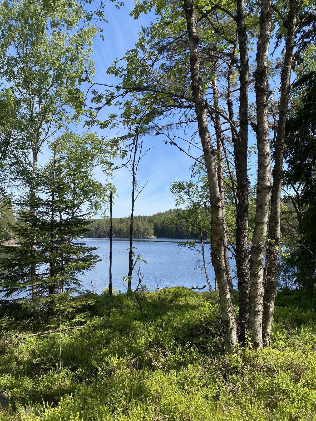 Sør-Elvåga. Galleribilde