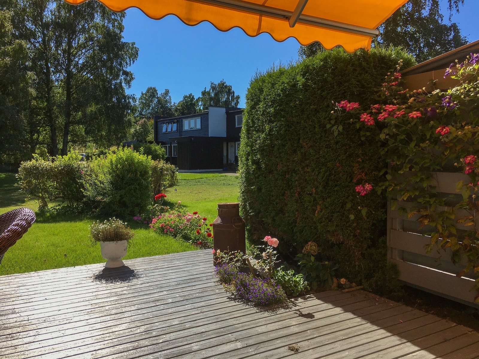 Frodig og solrikt (privat bilde) Galleribilde