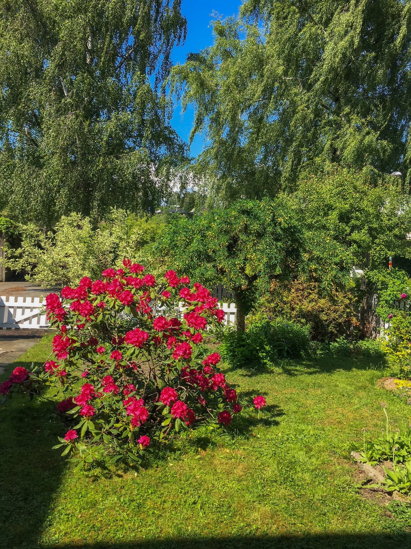 Trær og busker gir skjerming og tilfører karakter til eiendommen Galleribilde