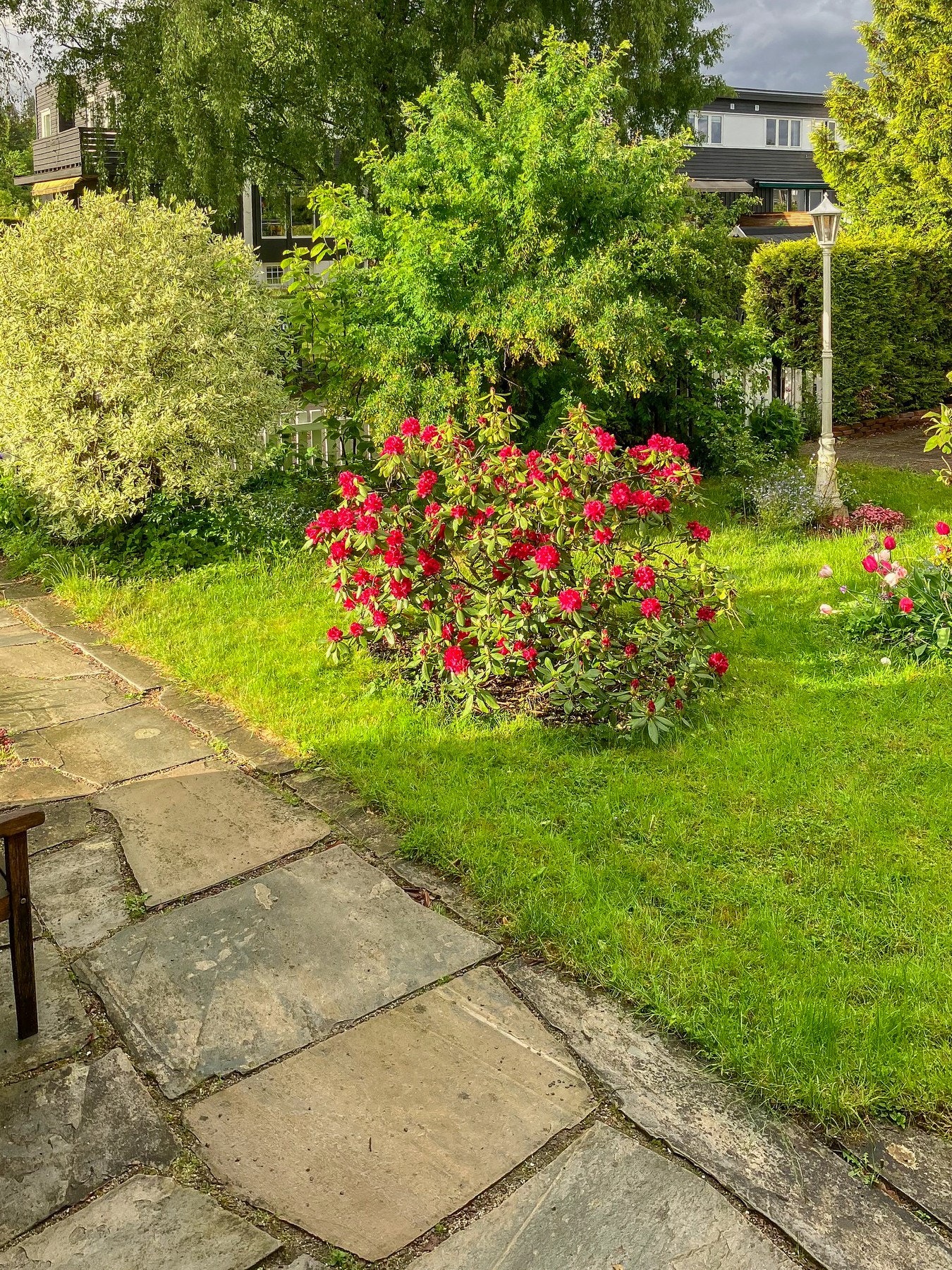 Hellelagt adkomst og frodig beplantning og plenareal (privatbilde) Galleribilde