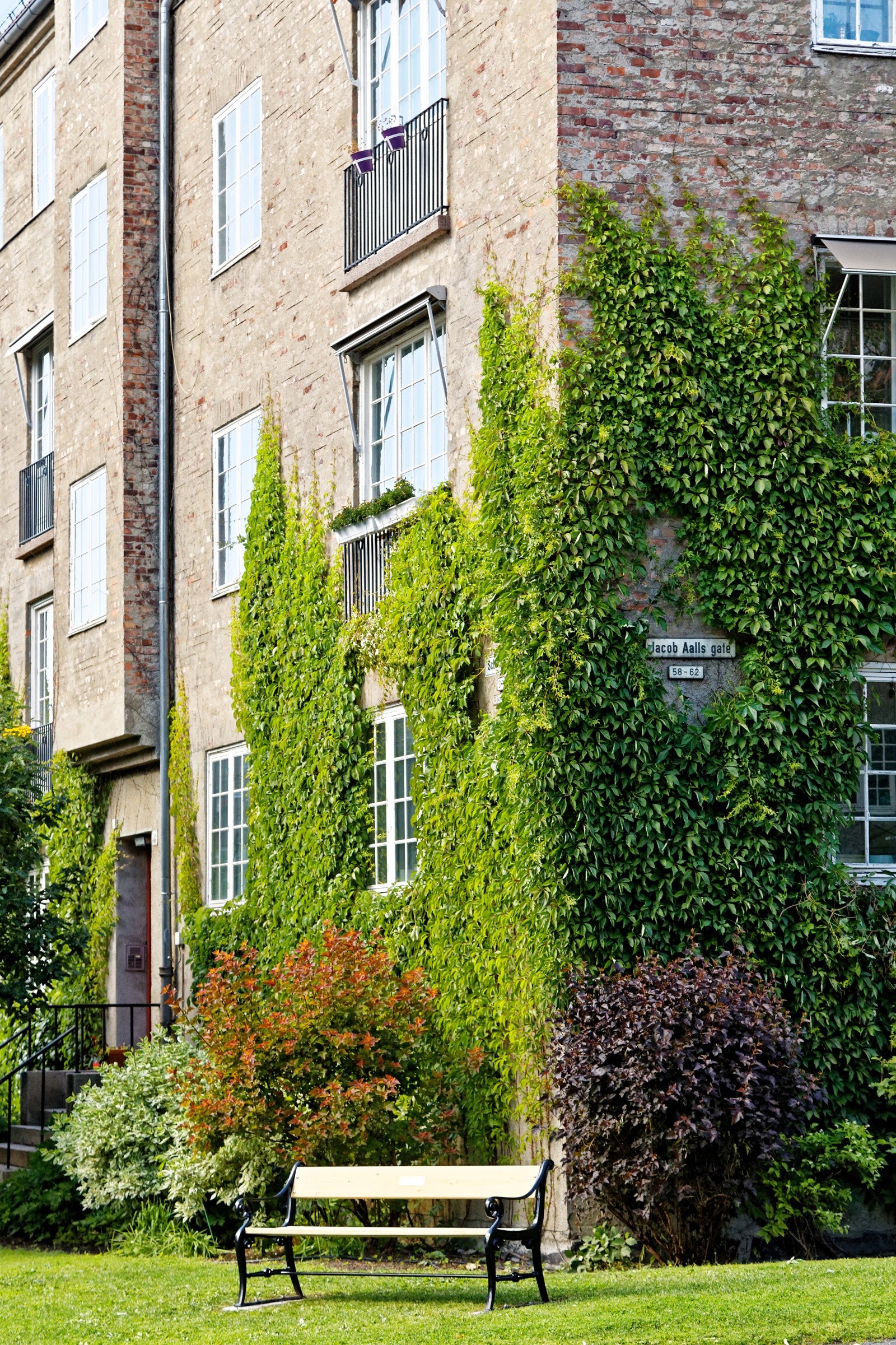 Benken markerer Jessenløkka 100 år 1924 - 2024. Galleribilde