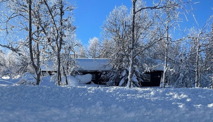 IMG_5738 Galleribilde