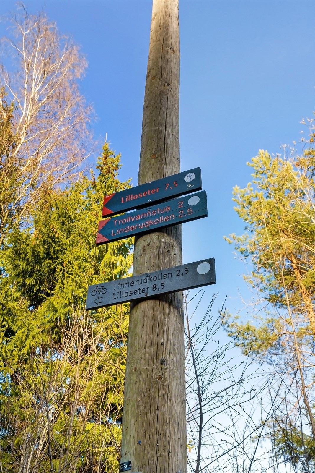 Rett bak sameiet finner du flere innganger til marka - med ulike turmål Galleribilde