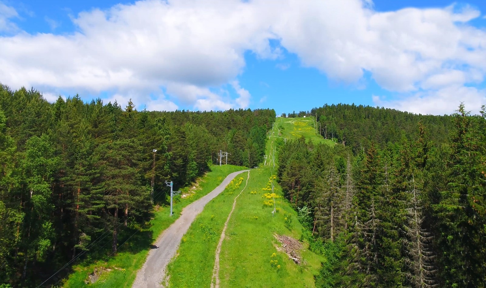 Grefsenkleiva sommer (ved siden av sameiet) Galleribilde