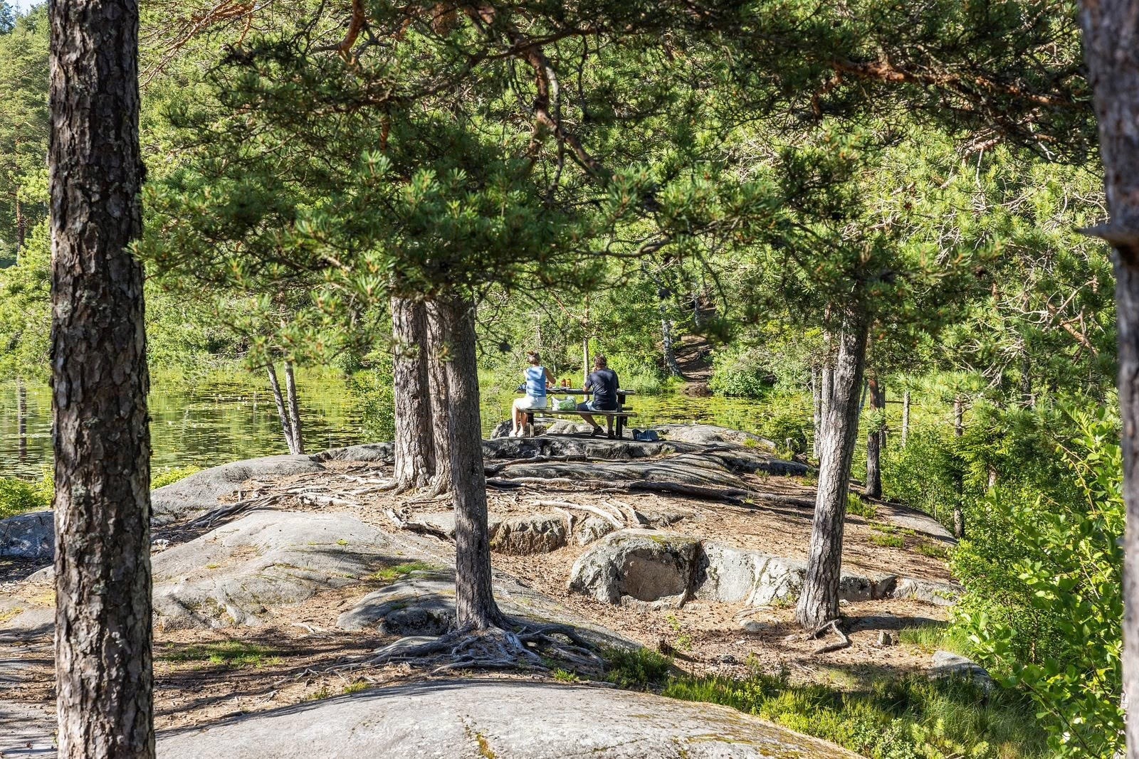 Østmarka som nærmeste nabo - med fine turstier og innbydende badevann. Galleribilde