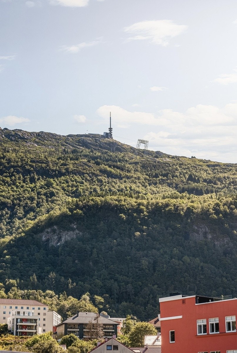 Ulriken Galleribilde