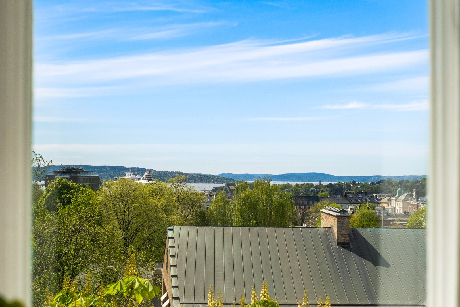 Fantastisk fjordutsikt. Galleribilde