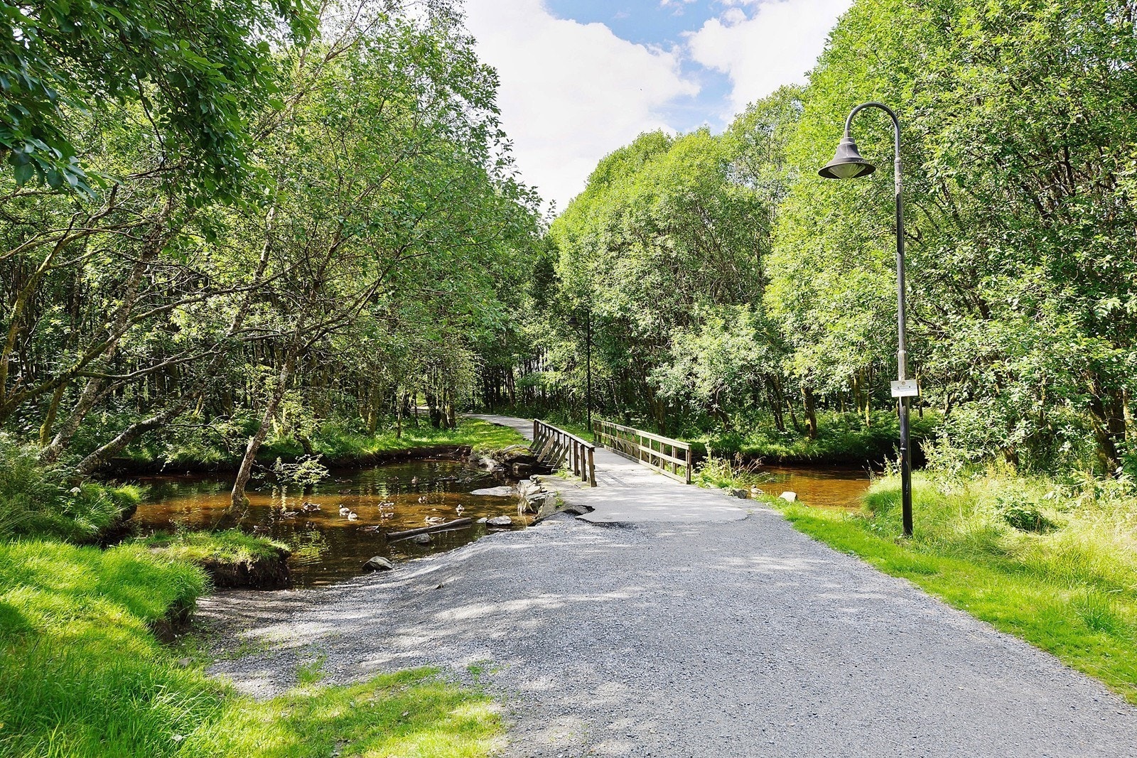 Runden rundt Ortuvannet er populær både med joggesko, tursko, barnevogn eller en firbeint venn. Galleribilde