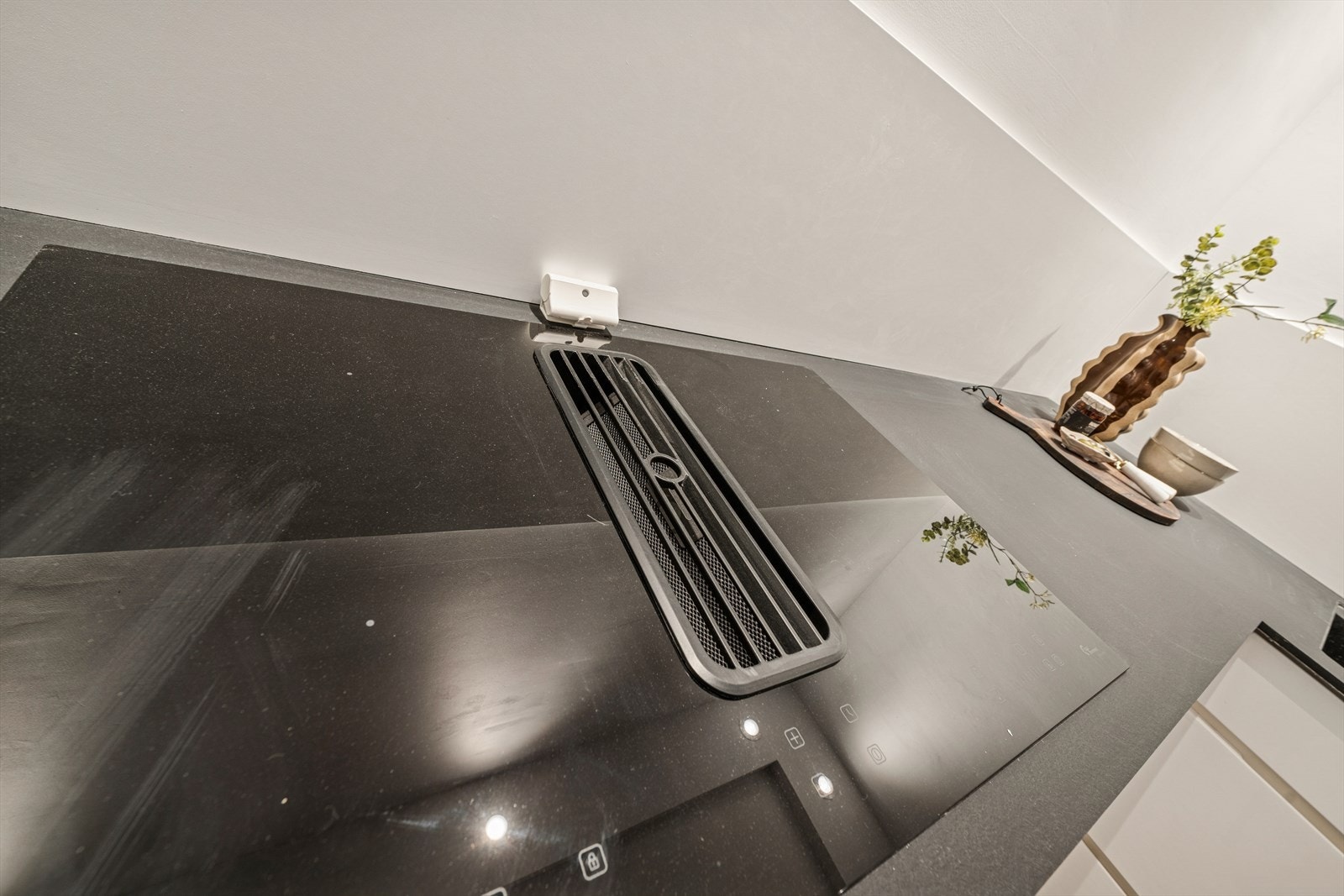 Det er montert en stor platetopp med integrert ventilator med kullfilter. Galleribilde