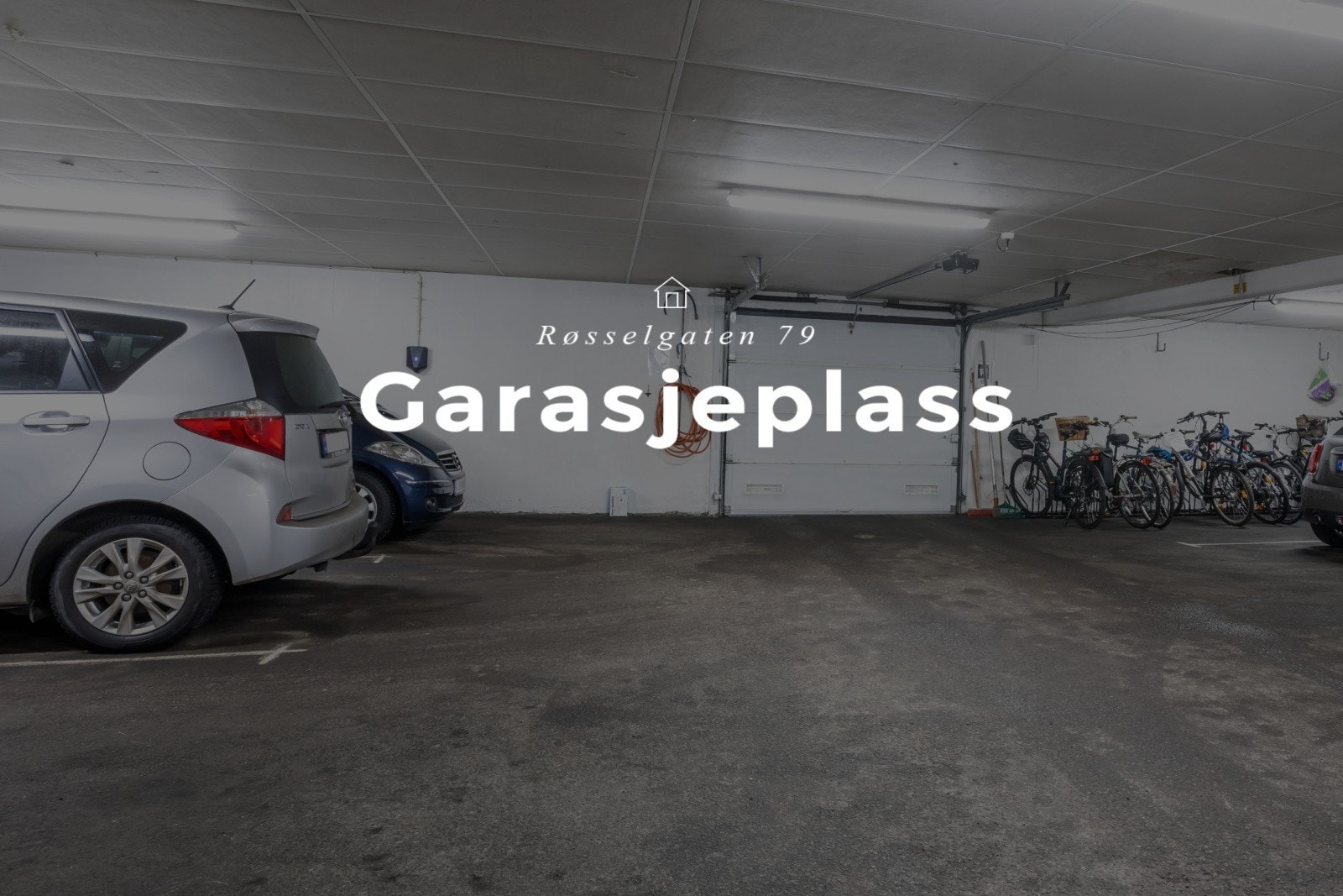 Untitled (40).jpg Galleribilde