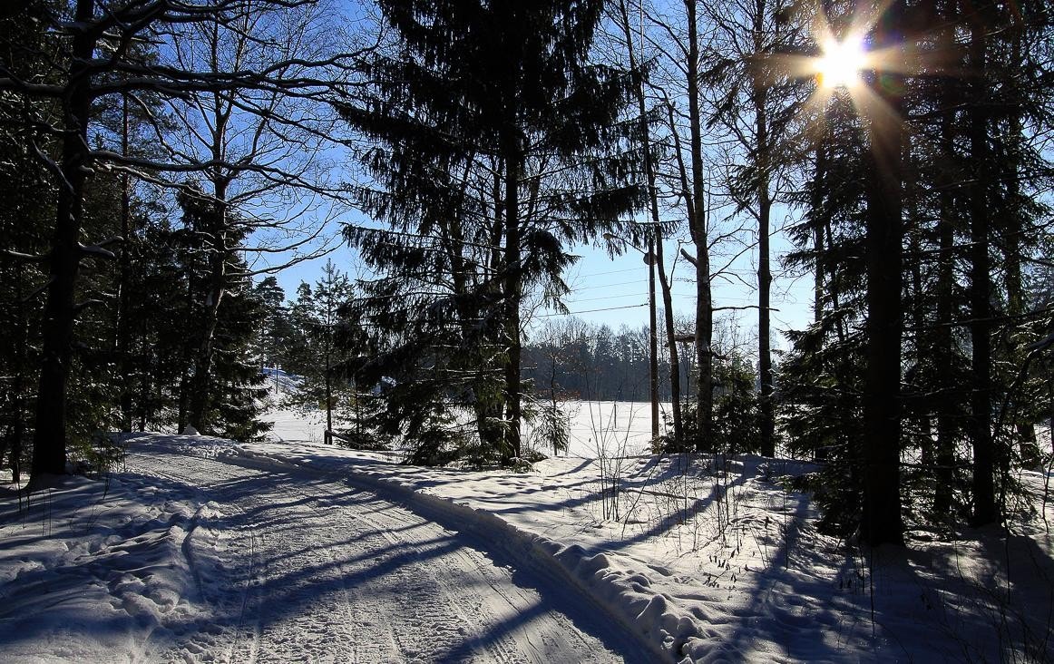 Vintertid er det lysløype med mulighet for å gå på ski i blant annet Teieskogen og på Borgheim. Galleribilde