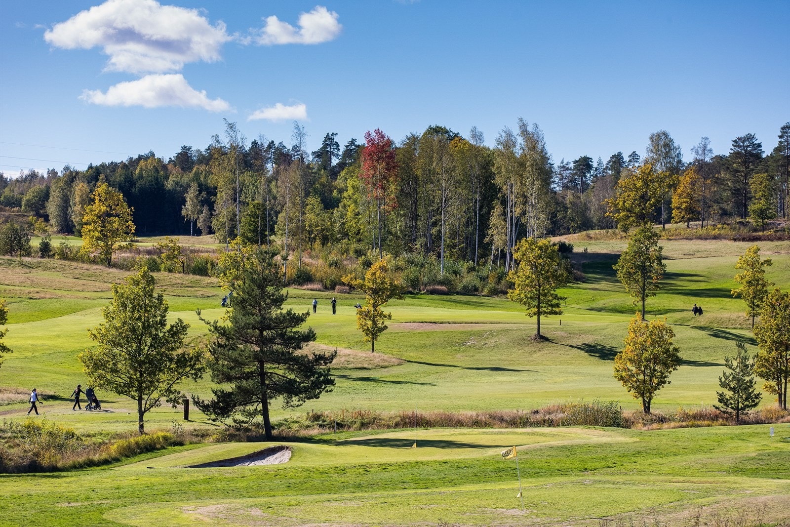 18-hulls golfbane (Nøtterøy Golfklubb på Borgheim/Hella) Galleribilde