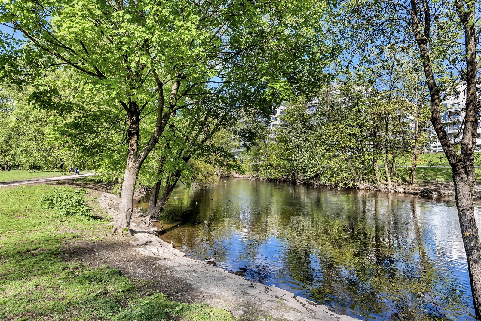Flotte Akerselva ligger i umiddelbar nærhet fra leiligheten Galleribilde