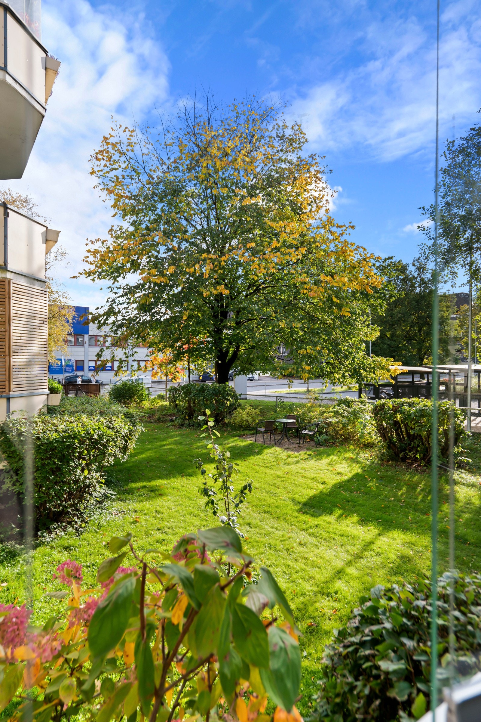 Grønt utsyn. Galleribilde