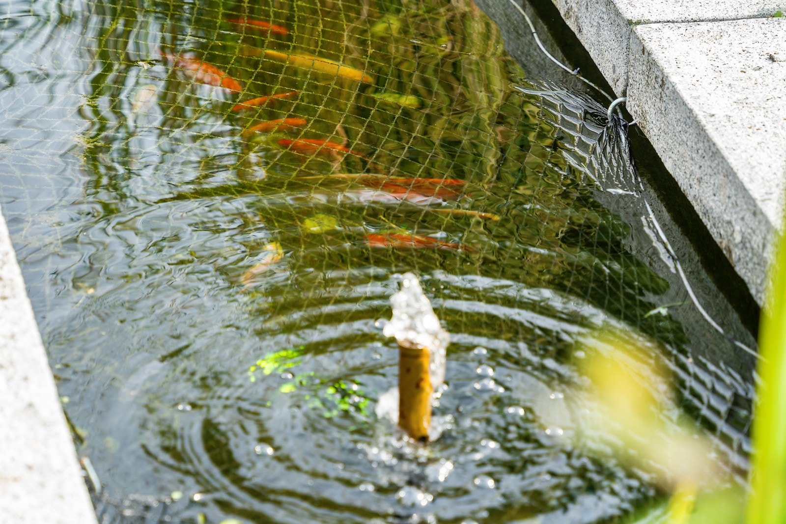 Eiendommen er parkmessig opparbeidet med bla gullfisk dam der fiskene medfølger i handelen Galleribilde