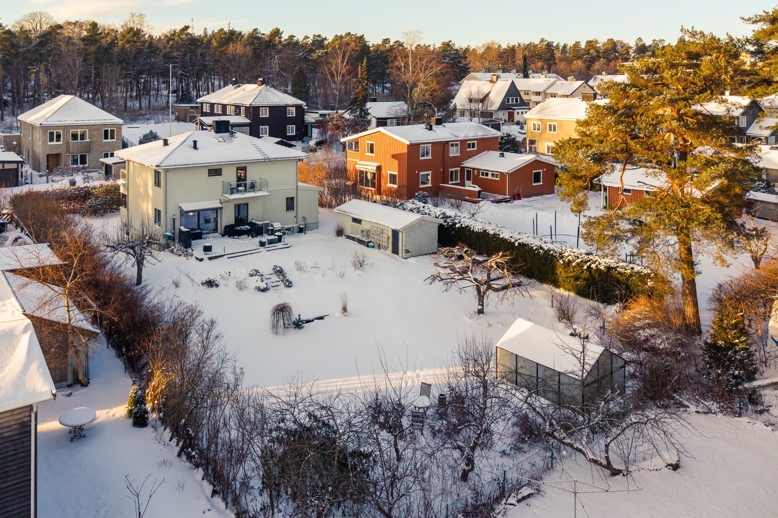 Stor, solrik og usjenert hagetomt Galleribilde