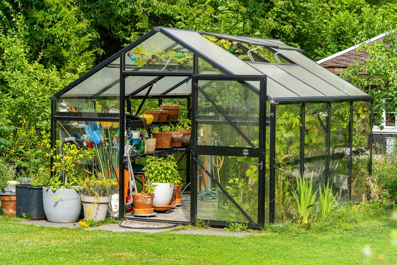 Spennende med drivhus Galleribilde