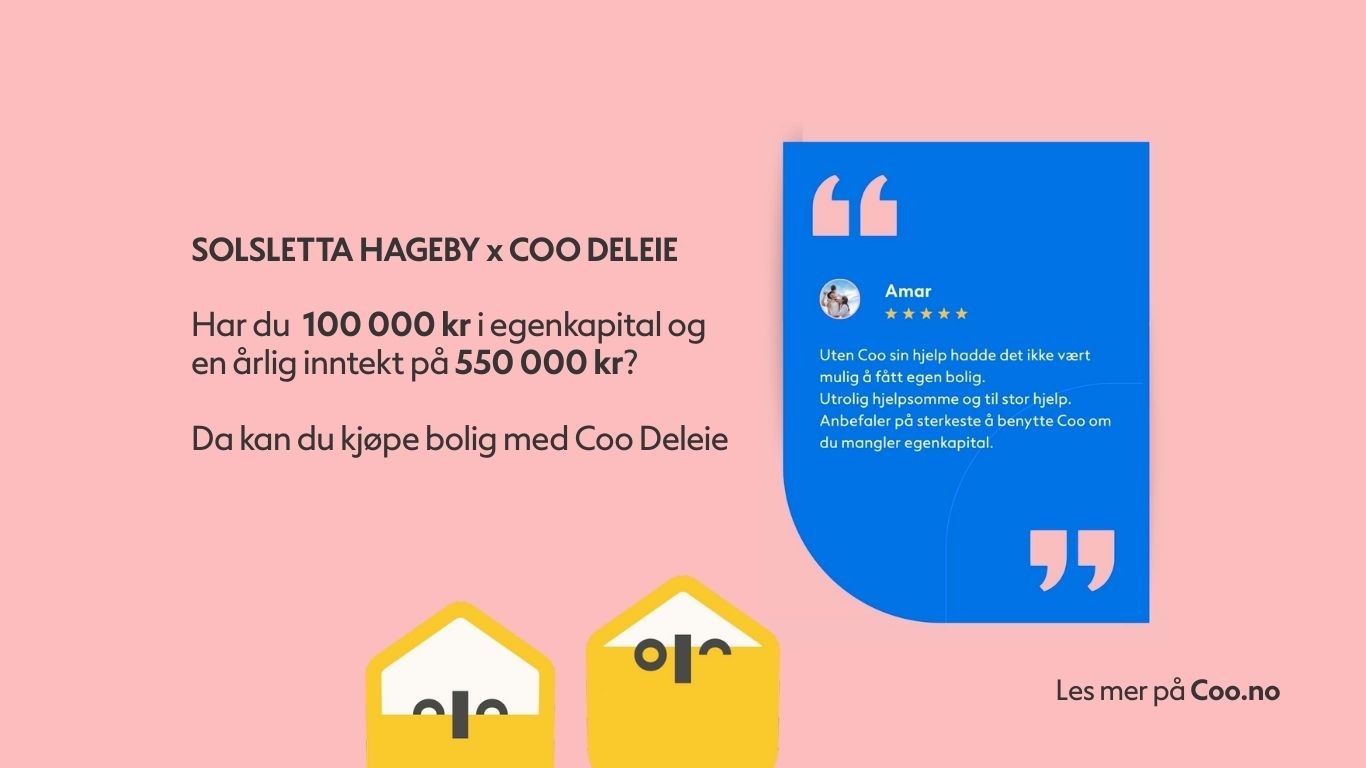 Tilbys deleie i samarbeid med COO for leiligheten Galleribilde