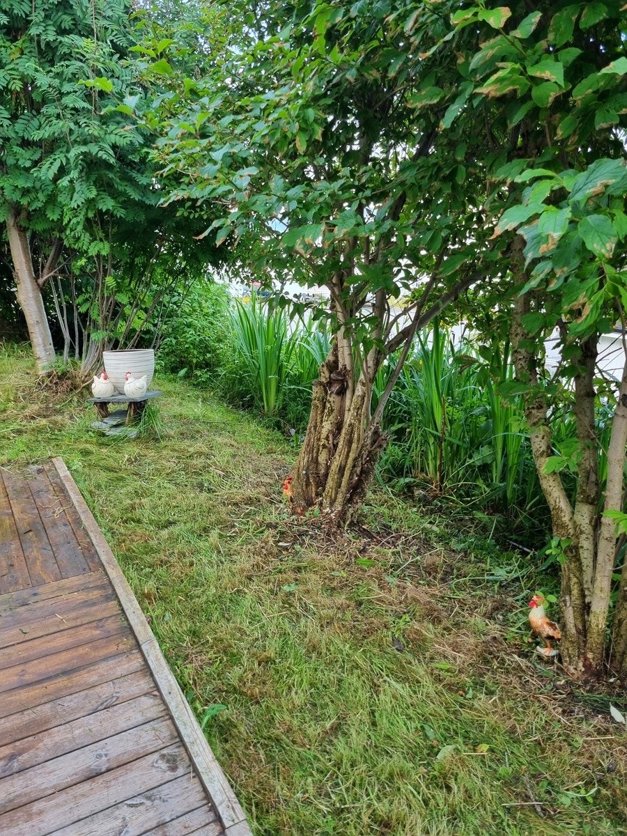 1. etasje terrasse mot hage Galleribilde