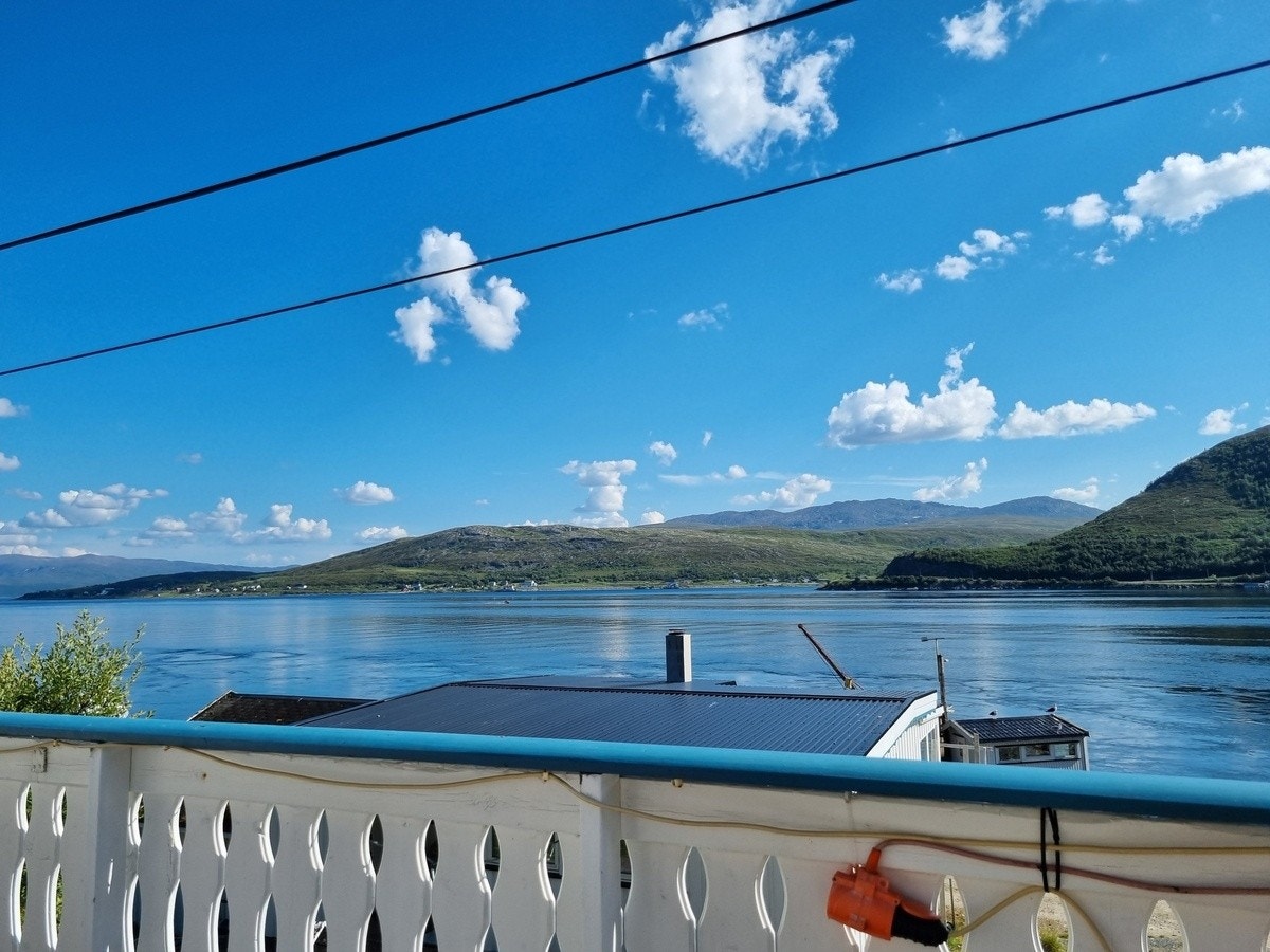 Sommer utsikt Galleribilde