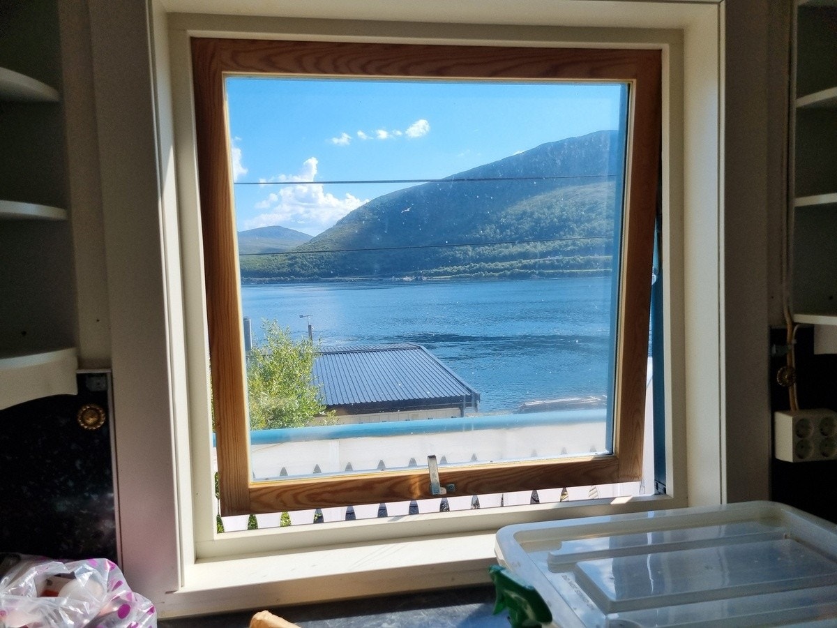 Sommer utsikt Galleribilde