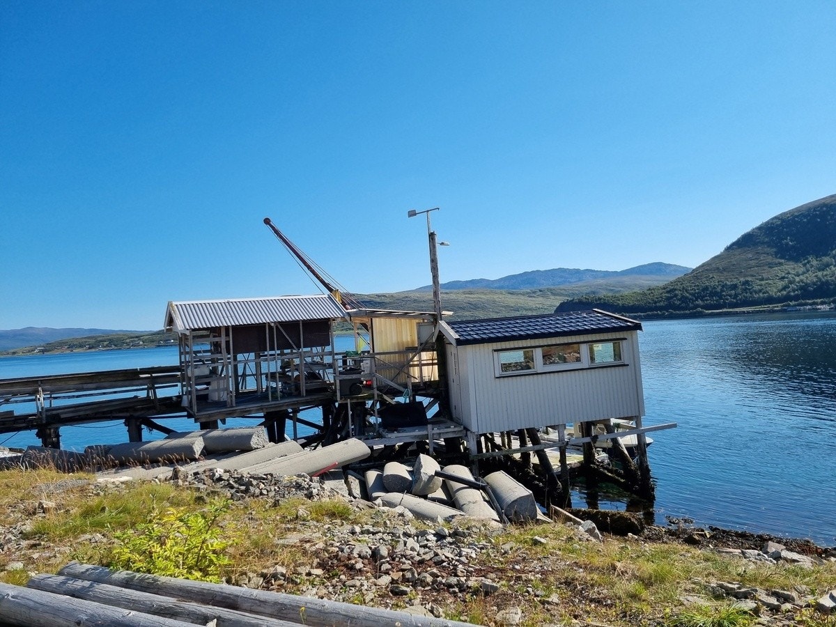 Sommer utsikt mot naus Galleribilde