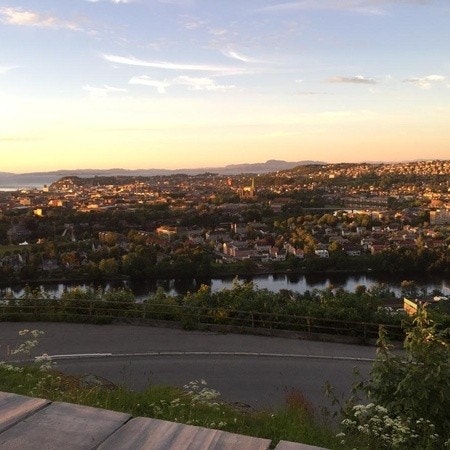 Området Galleribilde