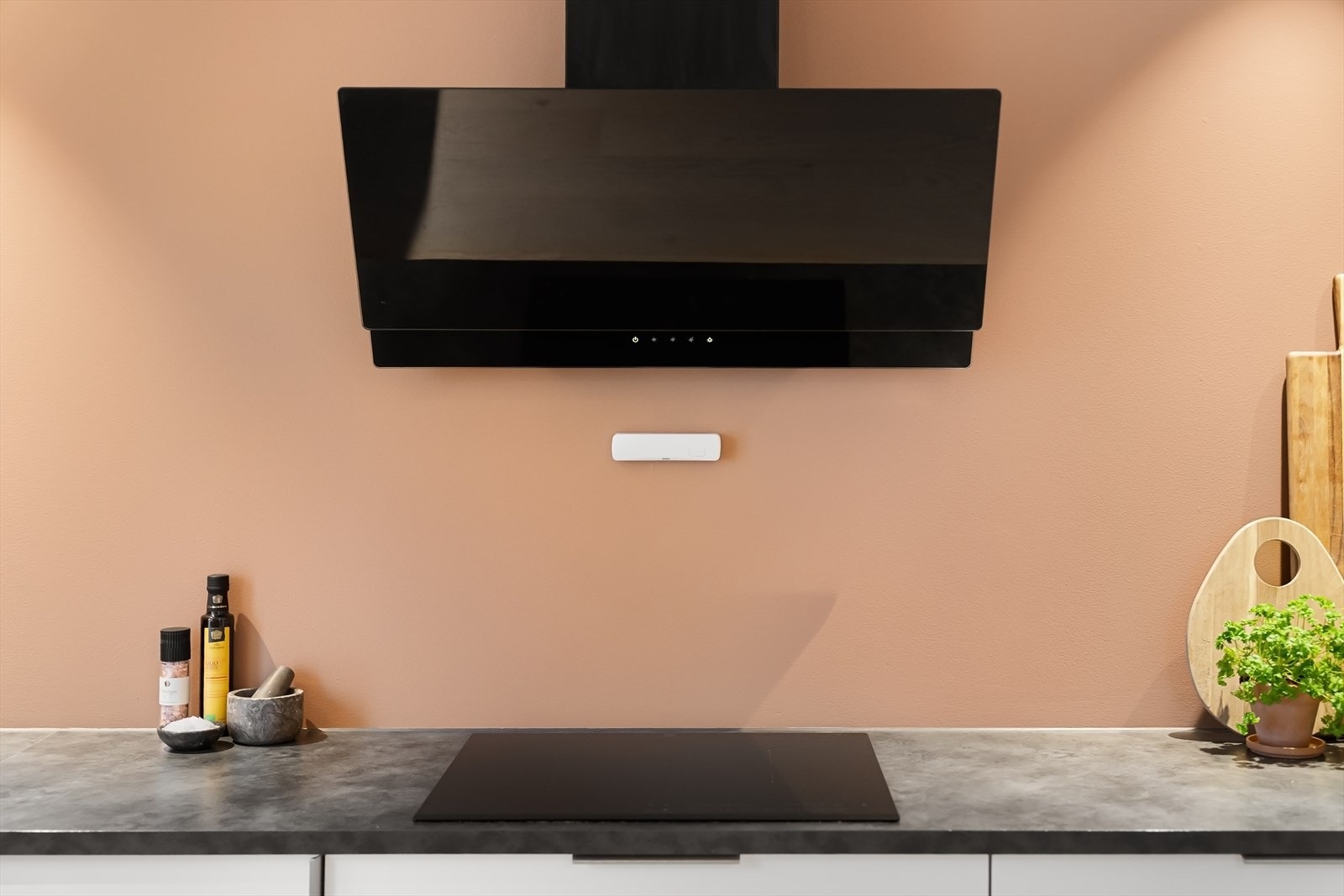 Ventilator med avtrekk gjennom yttervegg. Galleribilde