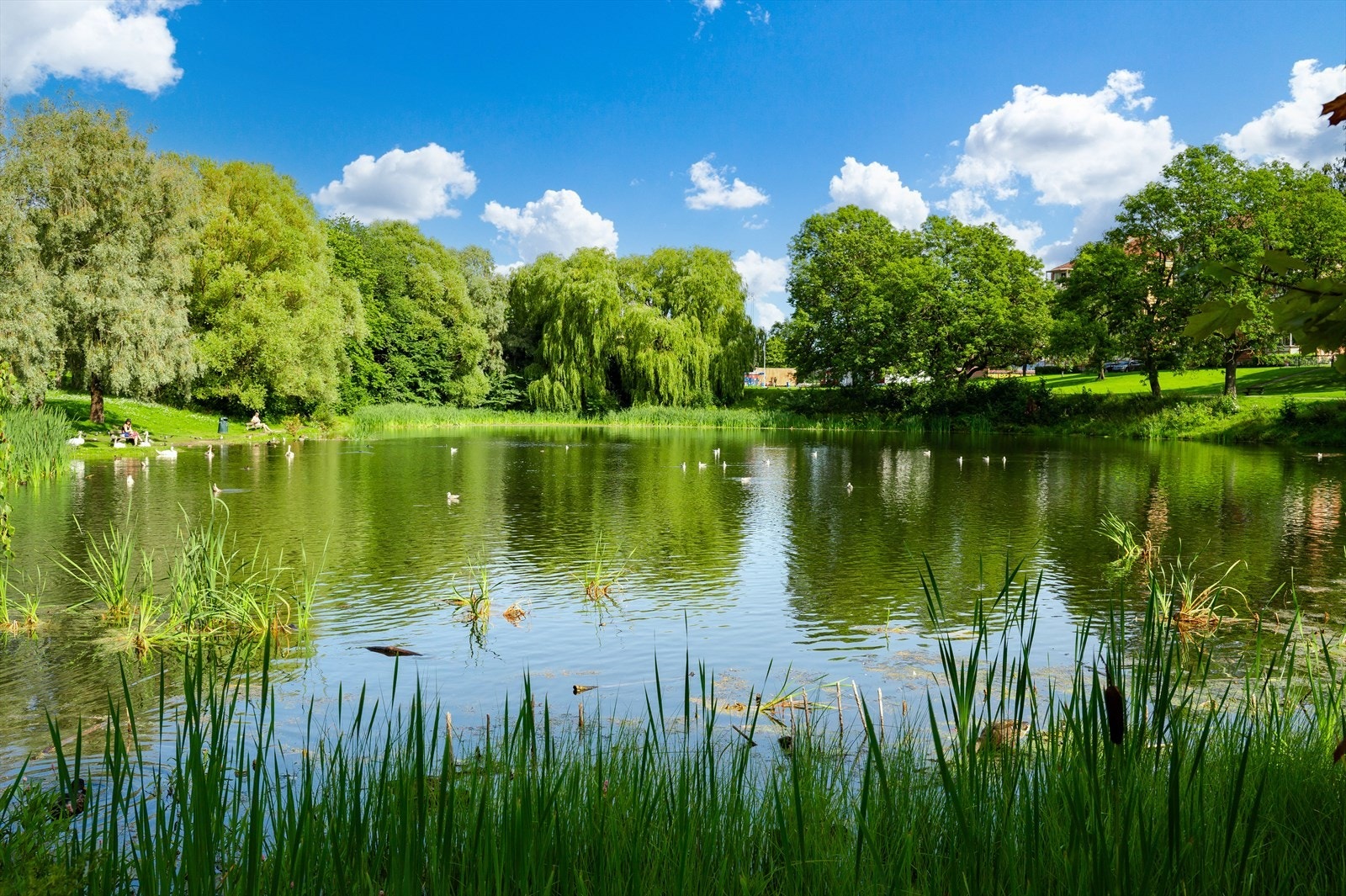 Borettslaget ligger ved siden av store idylliske friområder med dam og grøntarealer. Galleribilde