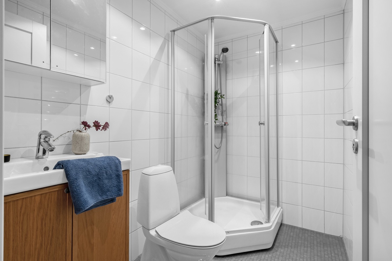 1.etasje har også ett separat baderom med dusjkabinett Galleribilde