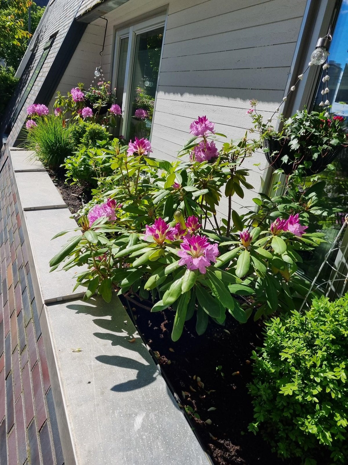 Nydelige bed på langsiden av leiligheten! Galleribilde