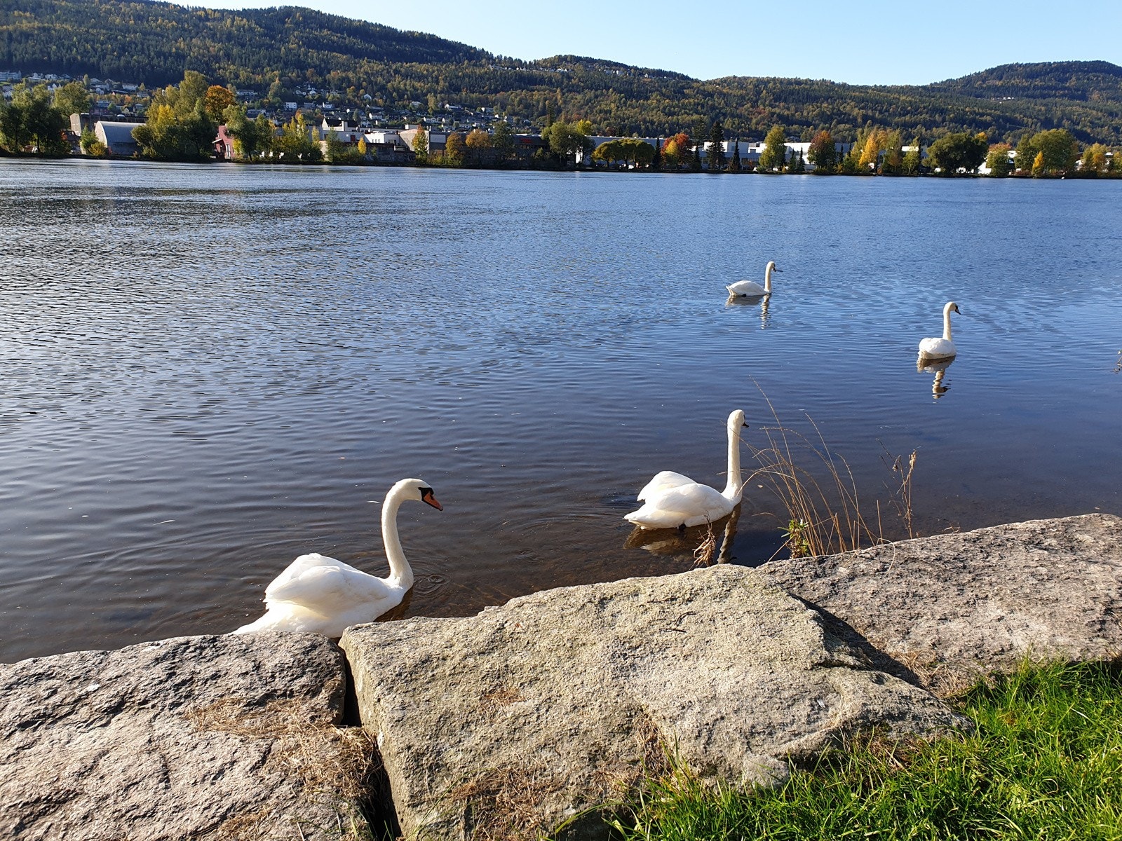 (Selgers private bilde) Galleribilde