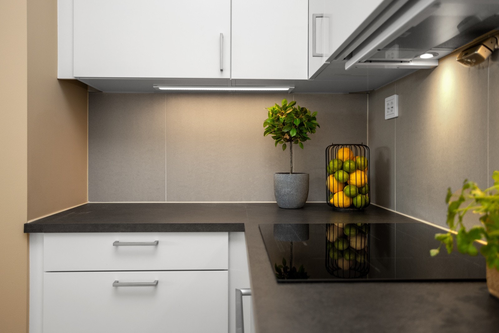 HTH kjøkkeninnredning med integrerte hvitevarer Galleribilde