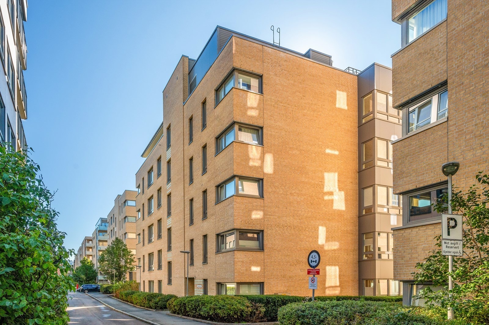 Fasade. Galleribilde