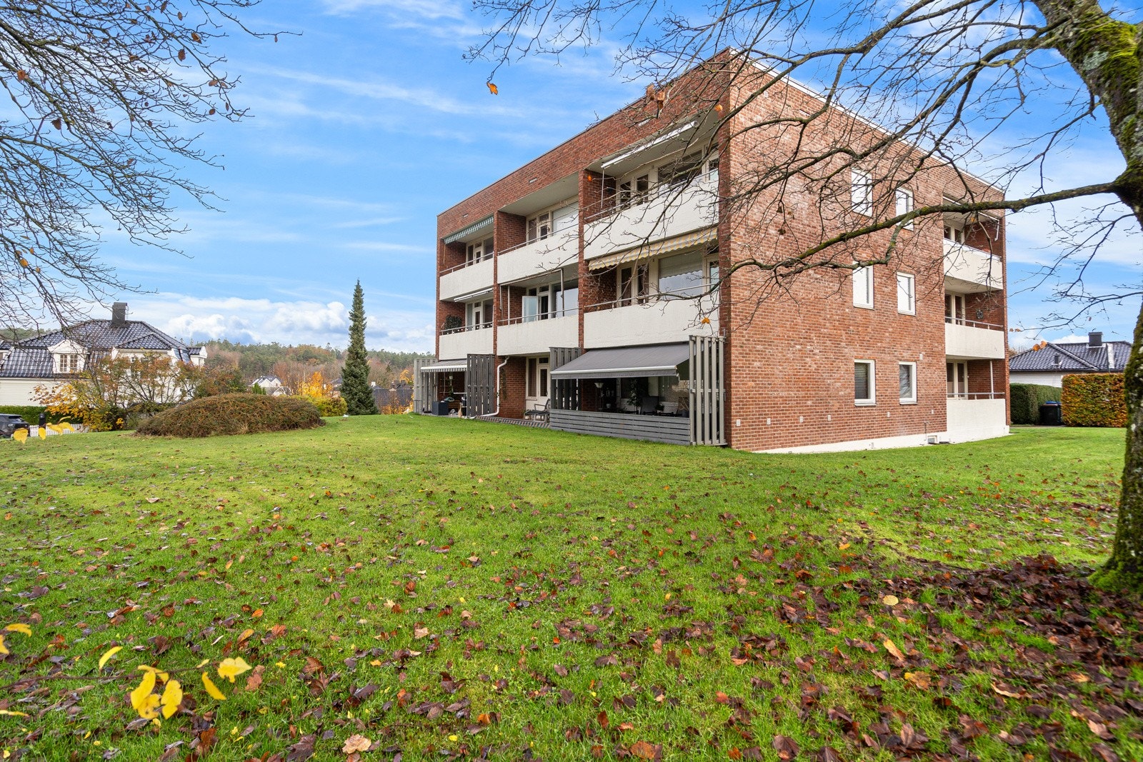 Fasaden og stor felles tomt Galleribilde