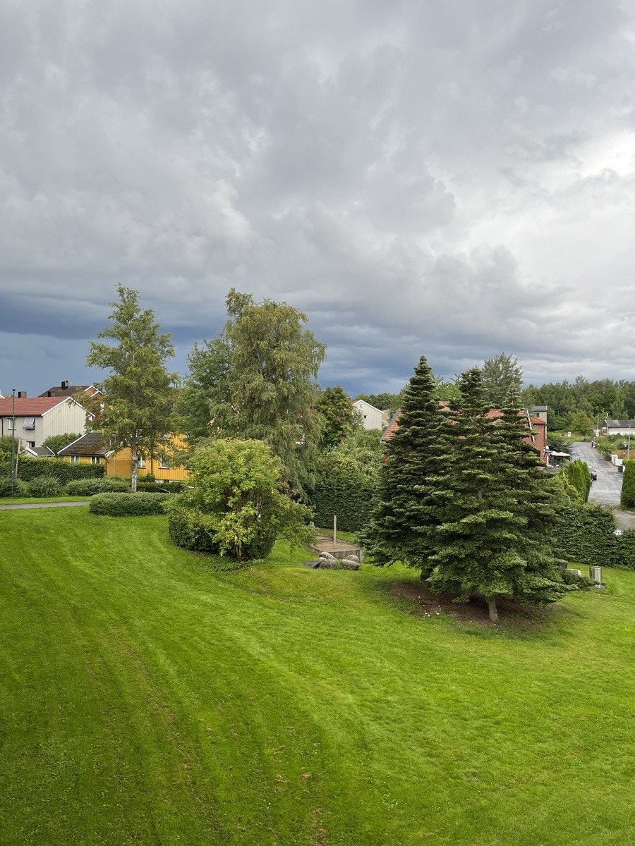 Utsikt fra stue Galleribilde