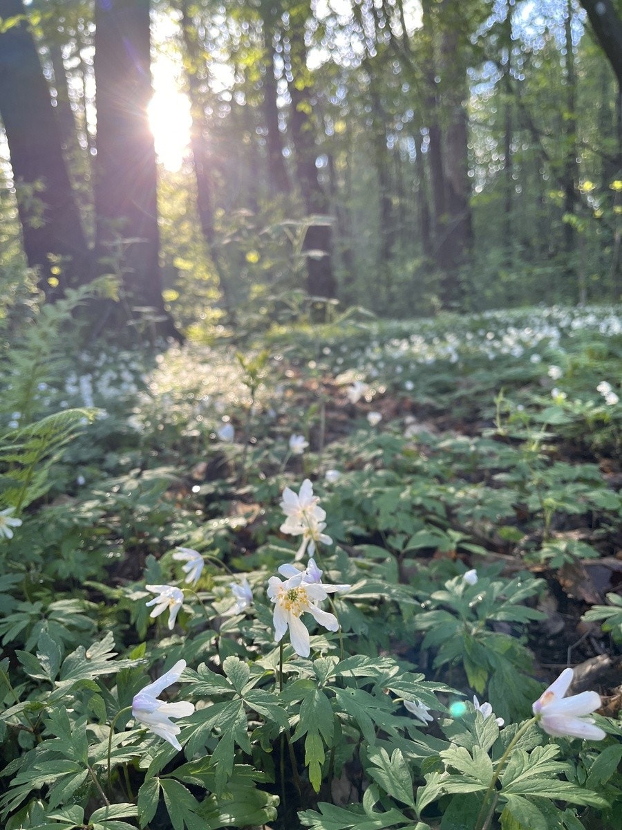 Ekeberg rekreasjonsområde Galleribilde