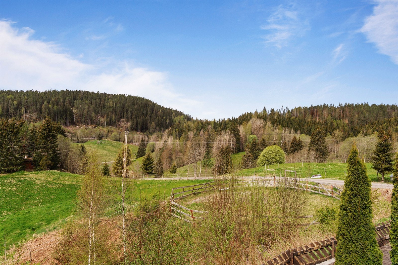 Flott utsyn til beitene. Galleribilde
