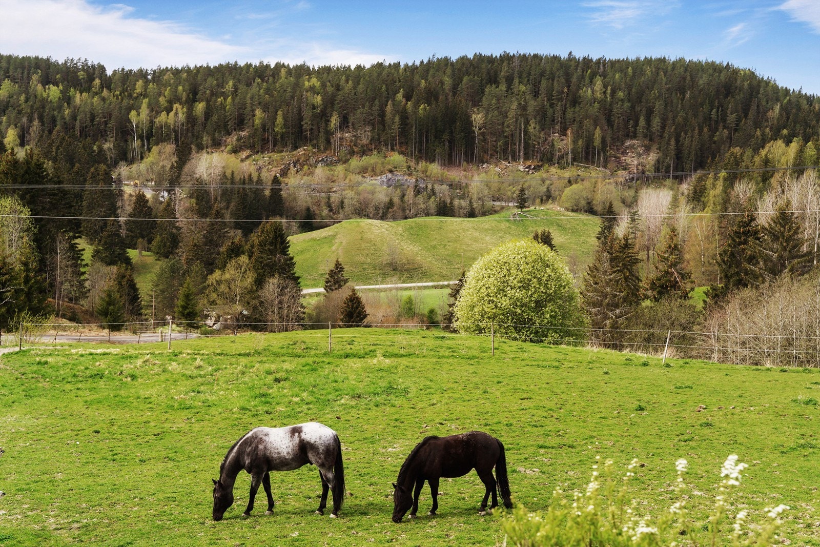 Her bor du i flotte og idylliske omgivelser, nær marka! Galleribilde