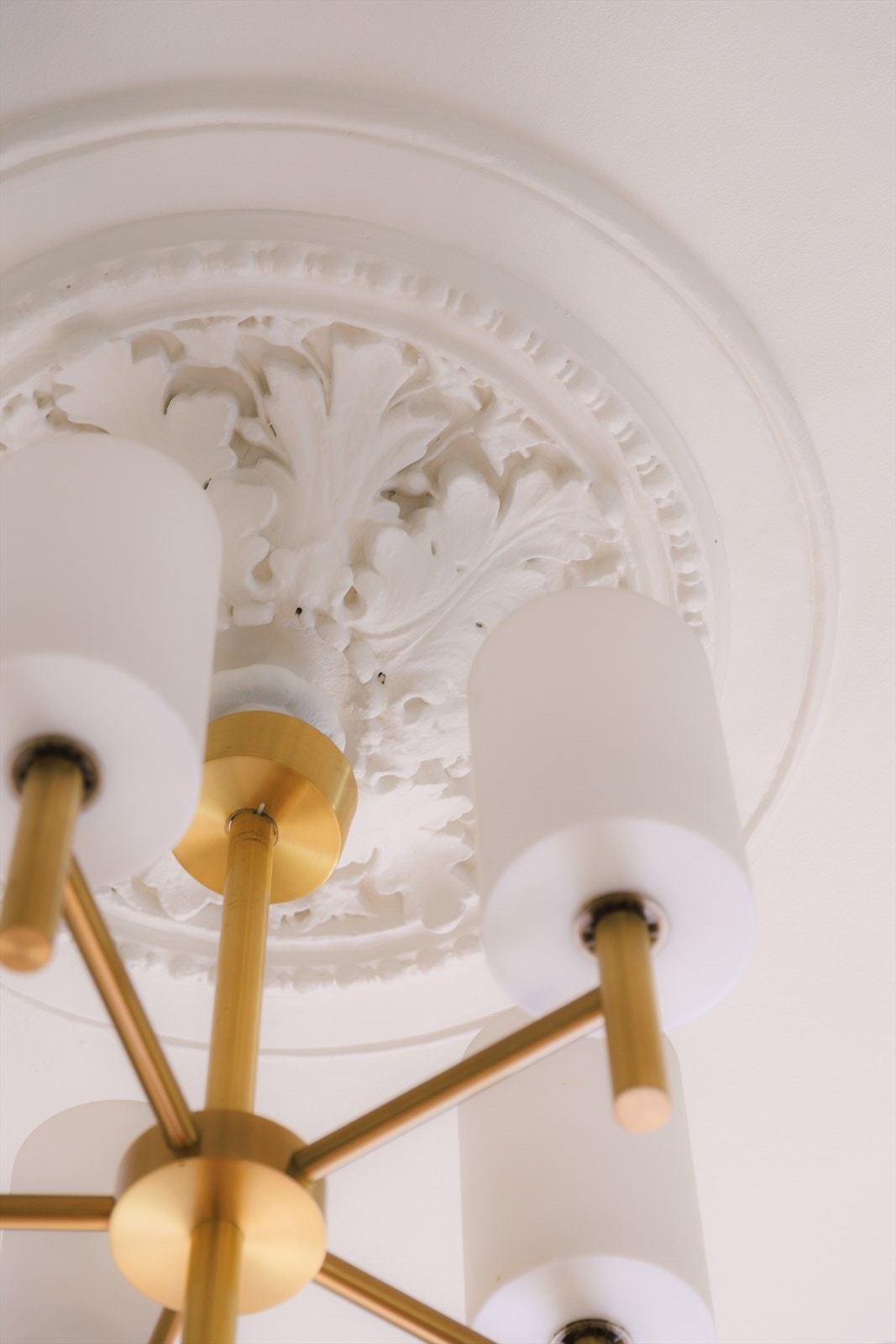 Rosett. Galleribilde