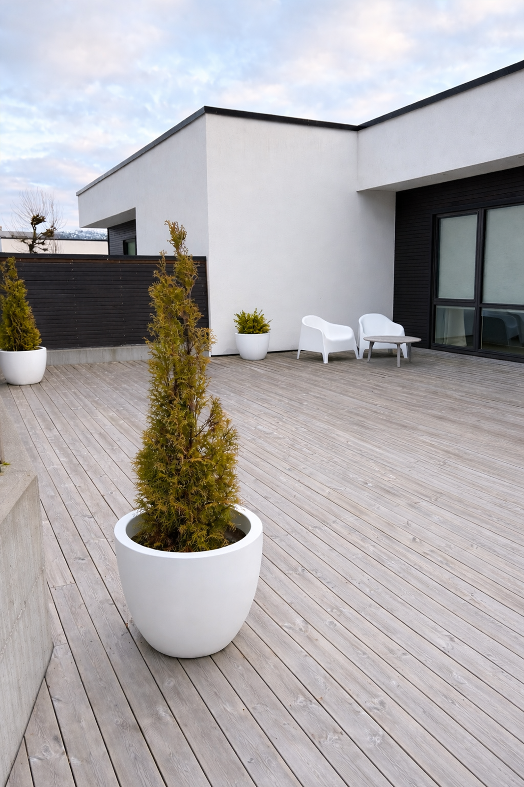 Fra den store terrassen Galleribilde