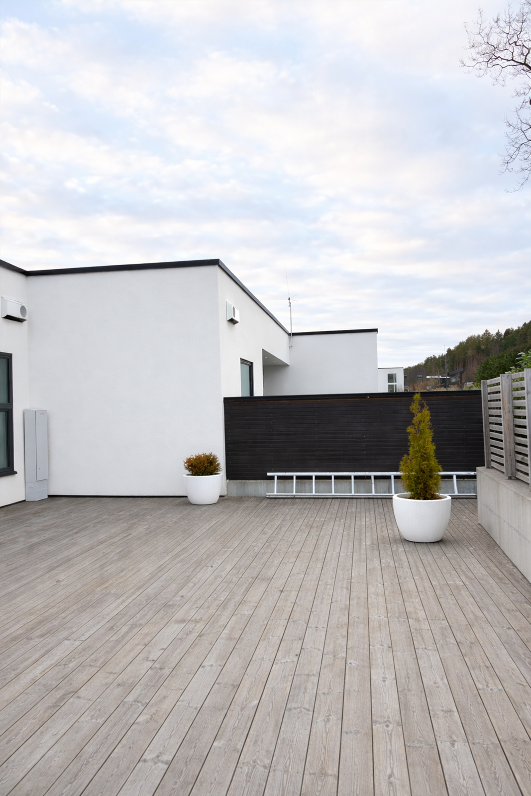 Stor terrasse mot nordvest Galleribilde