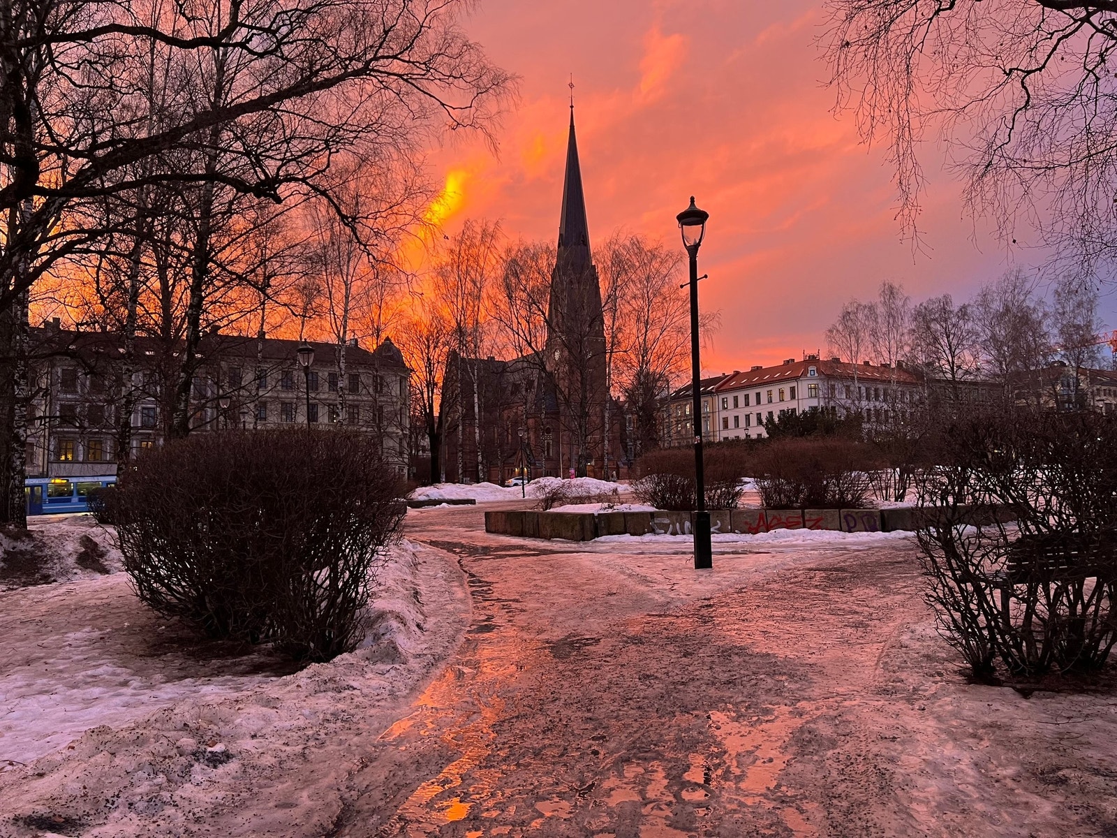 ..og Birkelunden Galleribilde