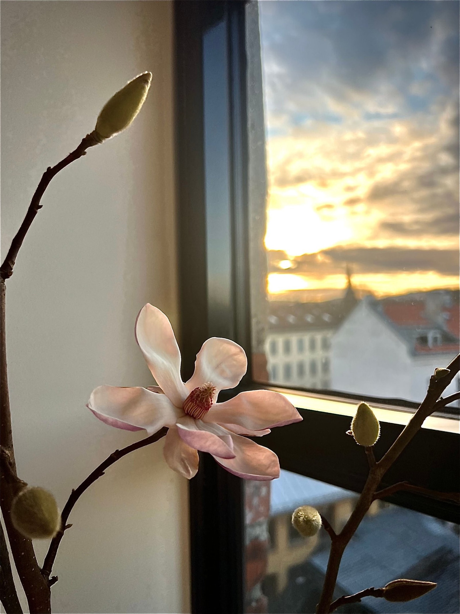 Utsikt fra leiligheten Galleribilde