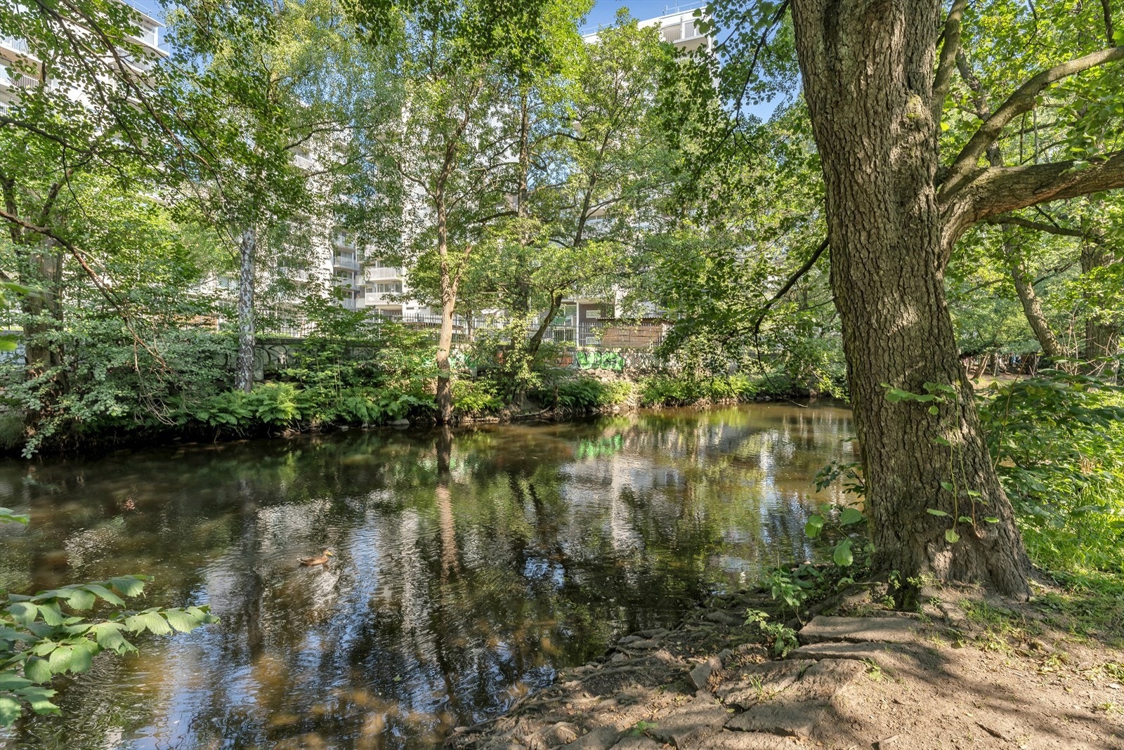 Flotte turmuligheter langs Akerselven - Her kan du gå helt opp til Maridalsvannet eller ned til Bjørvika Galleribilde